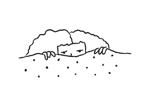 Insomnia
